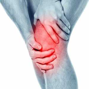Osteoartrita a genunchiului