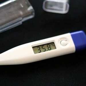 Cum se măsoară temperatura bazala pentru a determina sarcina?