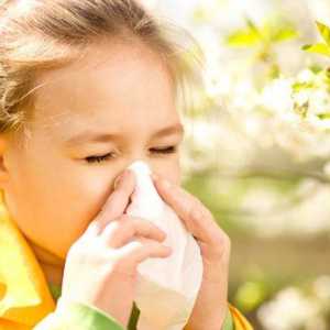 Cum pot afla o alergie la un copil?