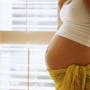 Care este rolul proginova la planificarea sarcinii