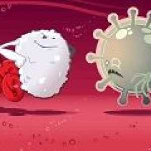 Imunitatea celulară și umorală - spre deosebire