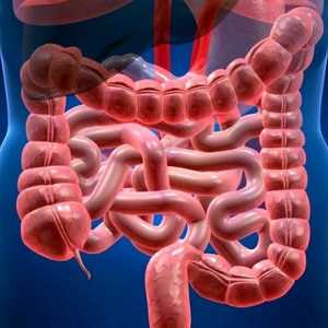 Simptome de obstructie intestinala si tratament