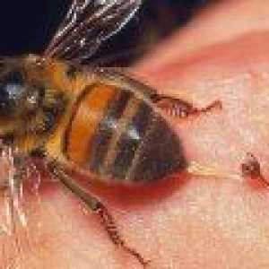 Venin de viespe distruge celulele canceroase