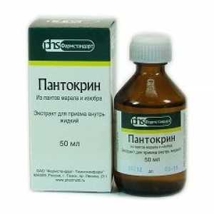 Pantocrinum