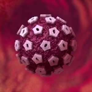 HPV si sarcina: diagnostic, consecințele și tratamente