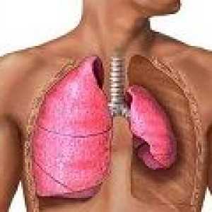 Tuberculoza pulmonară primară și secundară, cauze, tratament