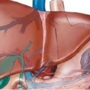 Hipertensiunea portala - cauze, simptome, diagnostic și tratament