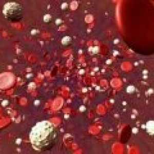 Creșterea numărului de trombocite în sânge