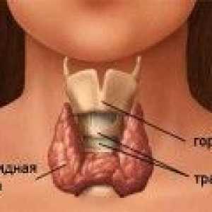 Semne de boli tiroidiene