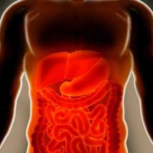 Simptomele si tratamentul ischemiei intestinale