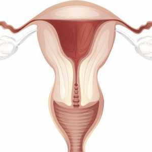 Contracții uterine după naștere