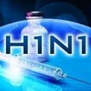 Porcine (California) gripa: diagnostic, tratament, prevenire
