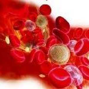 Trombocitopenia: Cauze, simptome, tratament