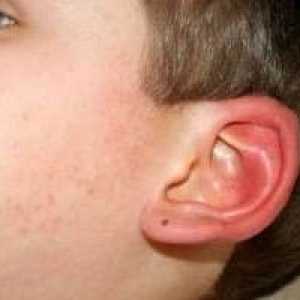 Urechile pot ajuta la diagnosticarea multe boli!