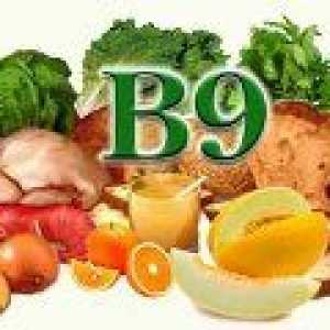 Ce alimente contin acid folic? (Vitamina B9)