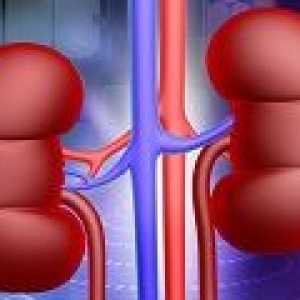 Inflamații ale rinichilor: cauze, simptome, tratament