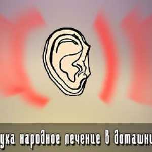 Inflamație a urechii tratament la domiciliu populare