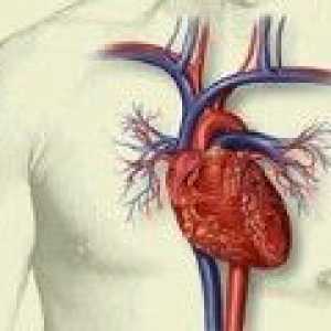 Restaurarea tesutului cardiac dupa infarct miocardic